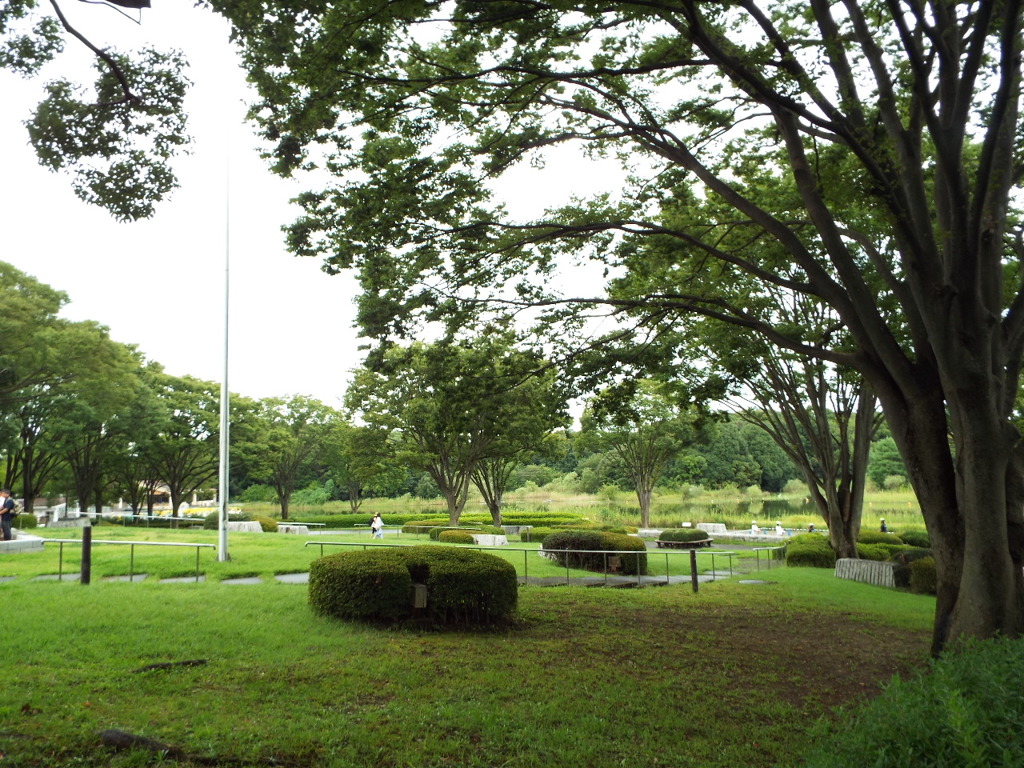 初秋の昭和記念公園1