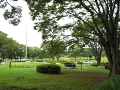初秋の昭和記念公園1