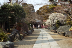 観音寺10