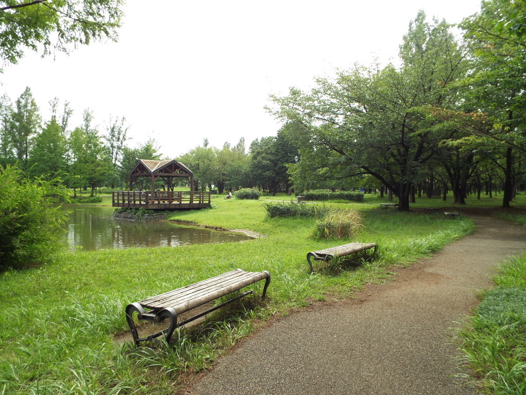 ベンチのある風景3