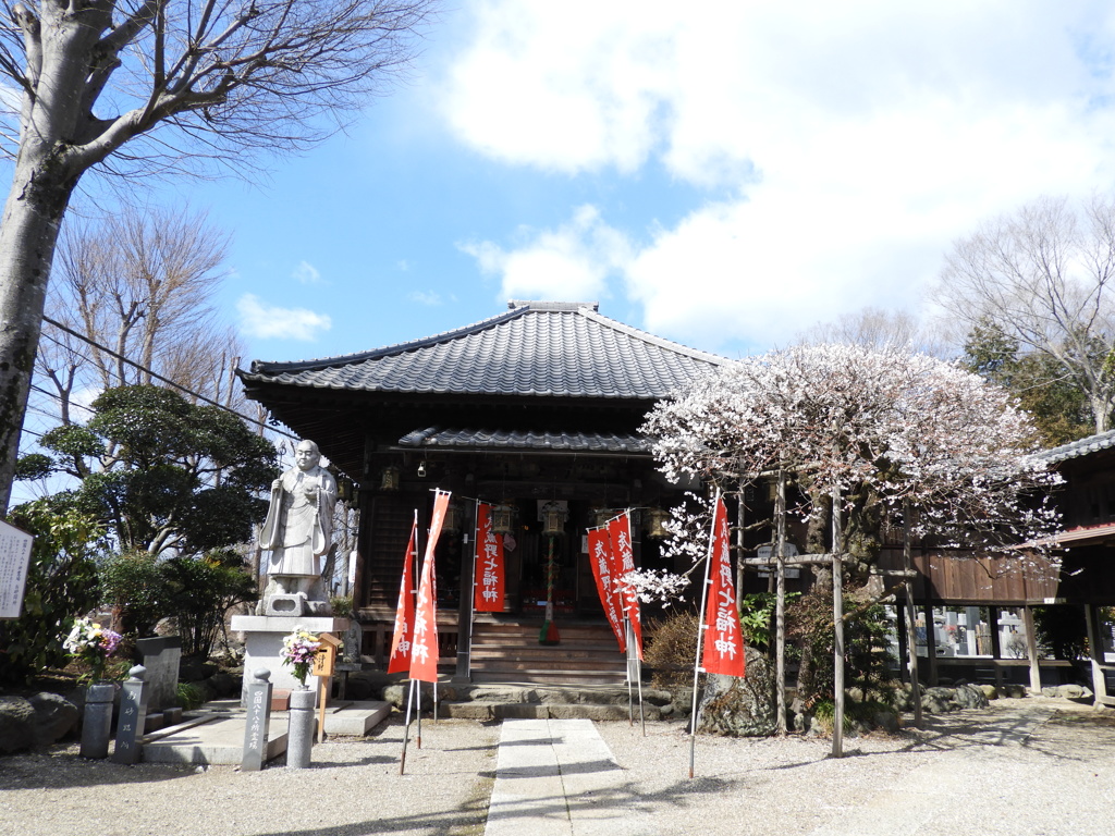 観音寺4