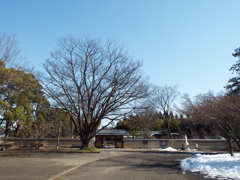 残雪の日本庭園1