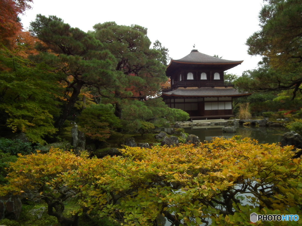 銀閣寺574
