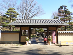 日本庭園1