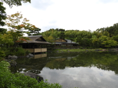 初秋の日本庭園9