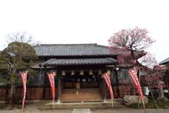 観音寺5