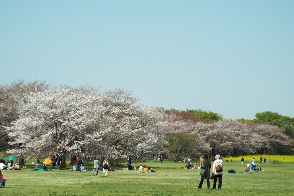 DSCF0522