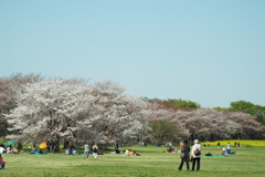 DSCF0522