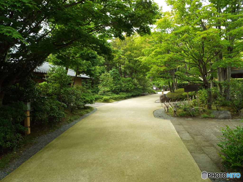 日本庭園2