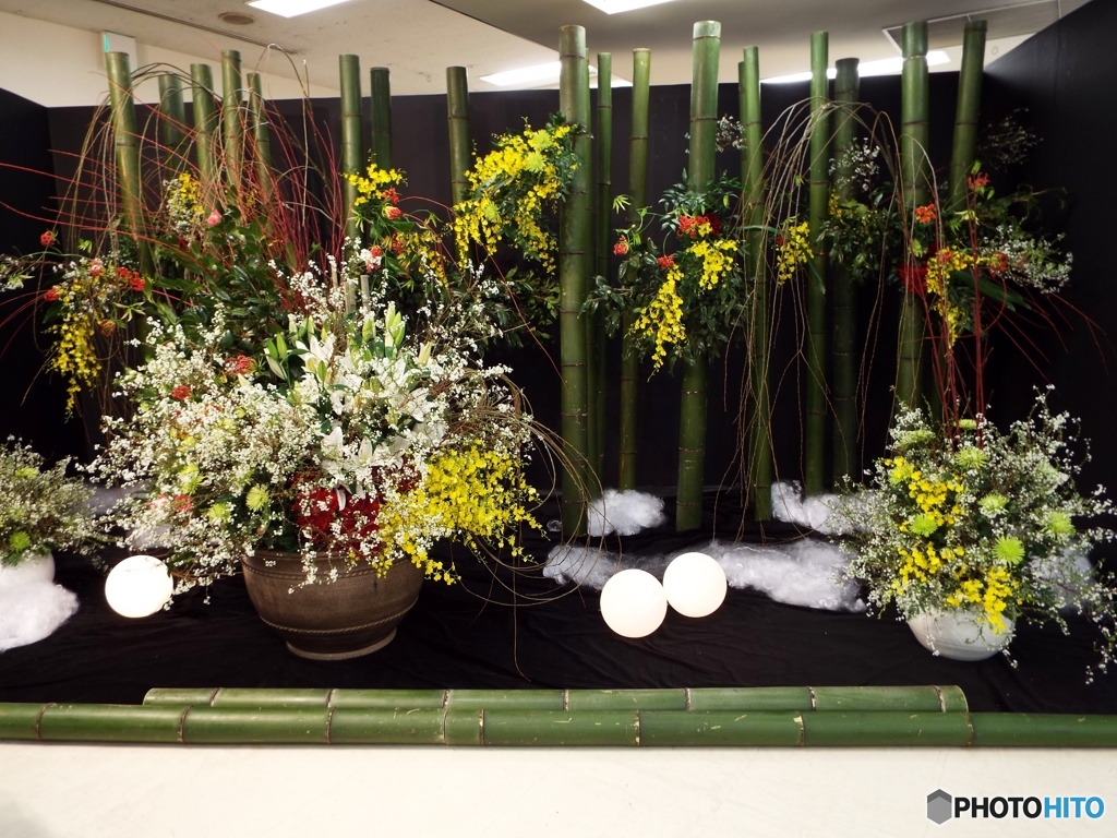 花の展覧会11