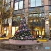 クリスマスツリー1