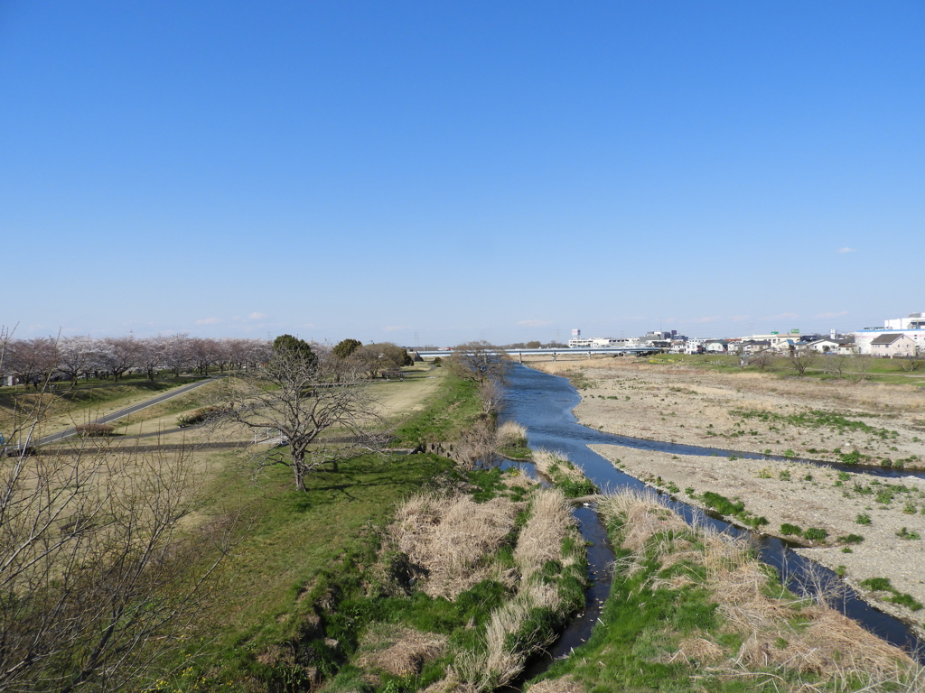 入間川