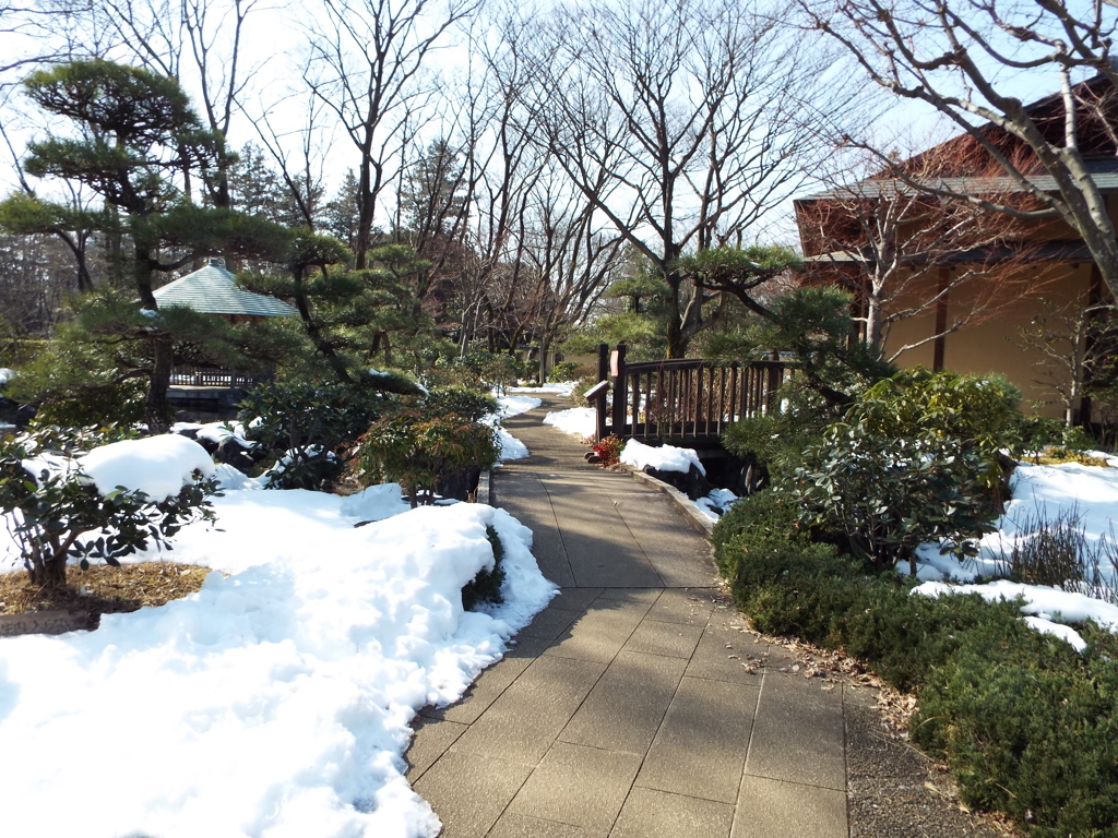 残雪の日本庭園10