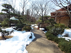残雪の日本庭園10