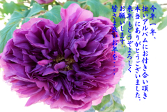 年末のご挨拶6
