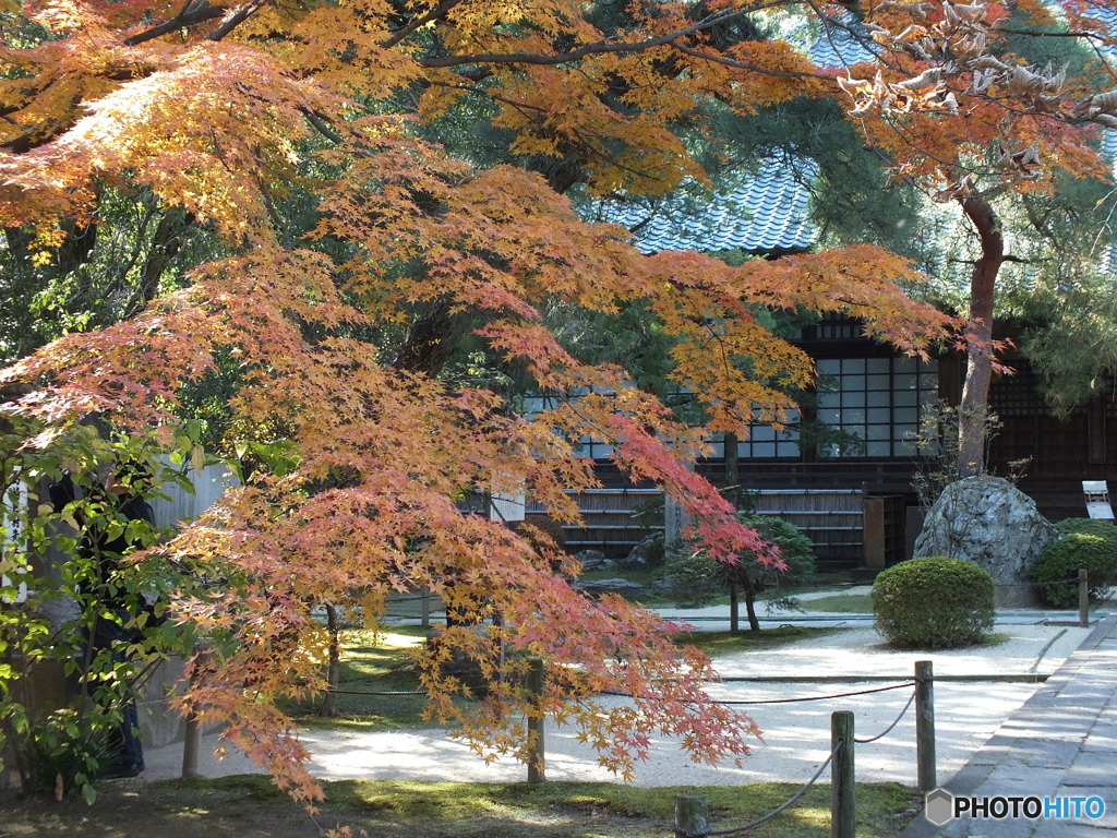 中院・紅葉2