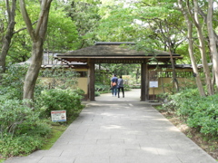 初秋の日本庭園3