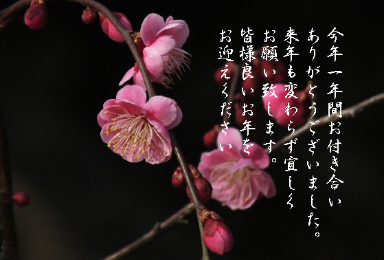年末のご挨拶8