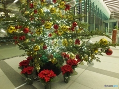 クリスマスツリー9