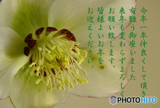 年末5