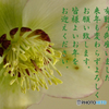 年末5
