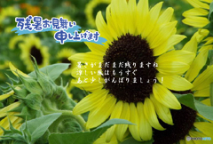 残暑3