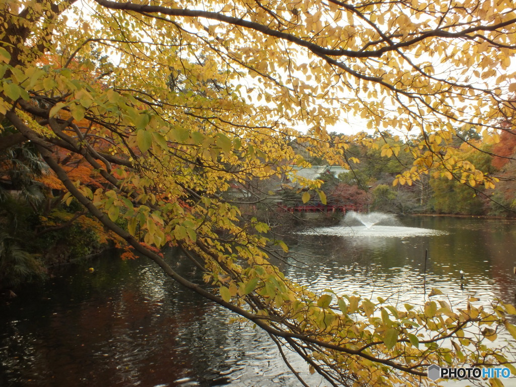 井の頭恩賜公園16