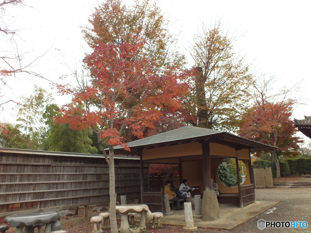紅葉の能仁寺10