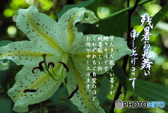 残暑6