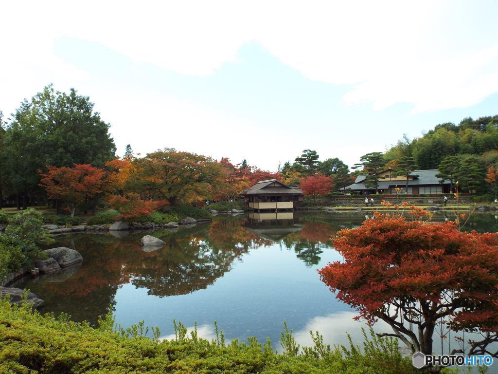 紅葉の日本庭園6