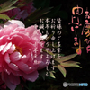 年賀9