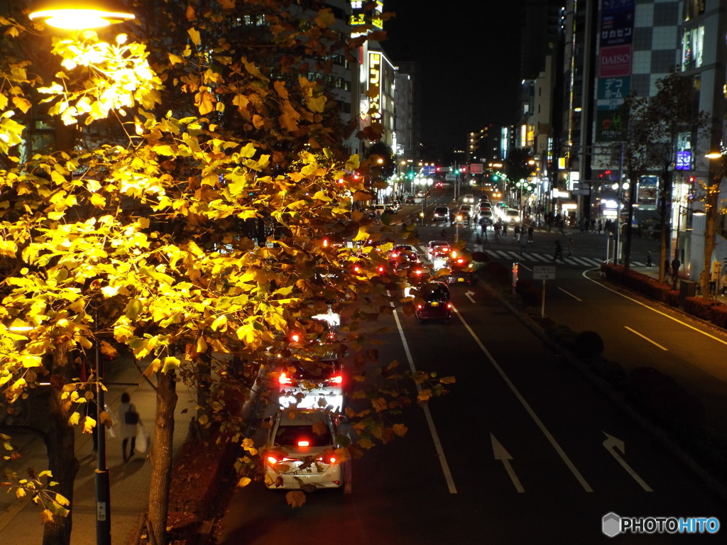 歩道橋より1