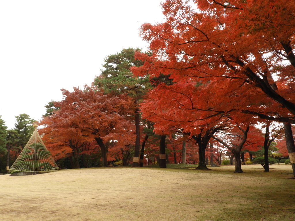 殿ヶ谷戸庭園20