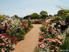 山下公園12