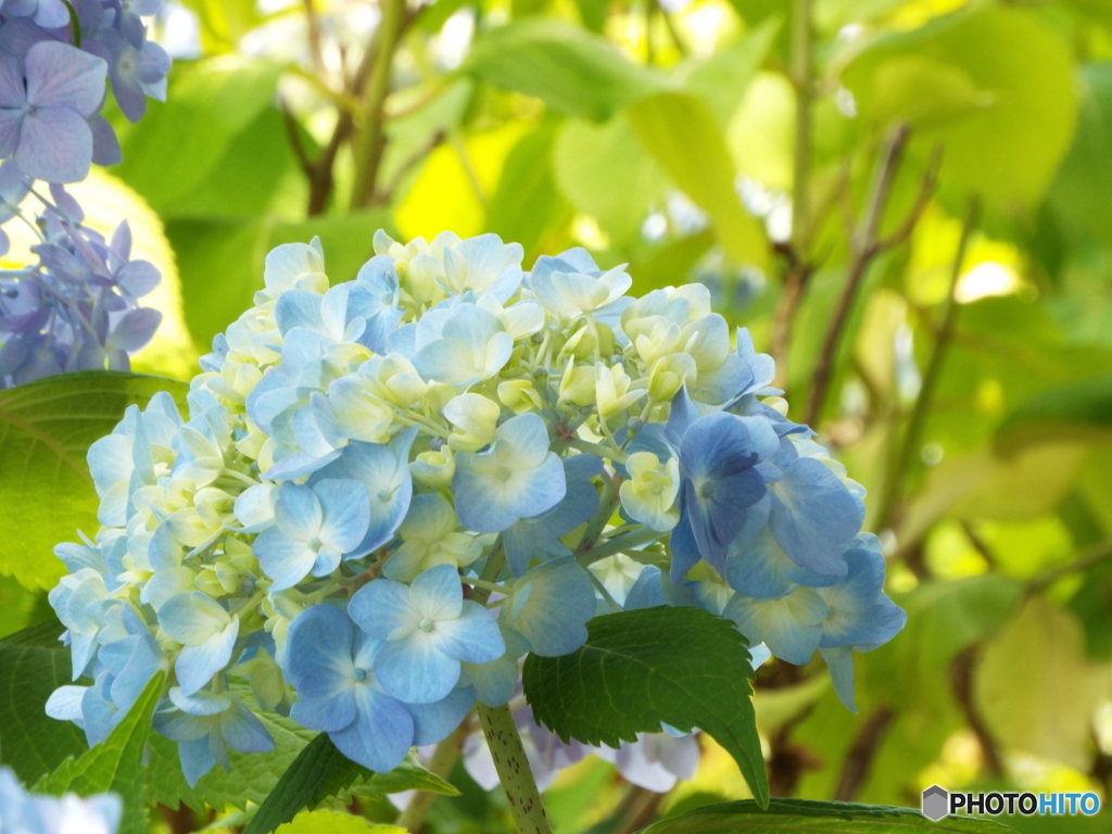 山下公園17
