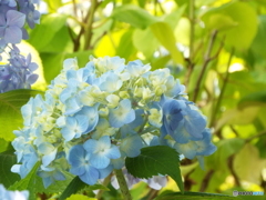 山下公園17