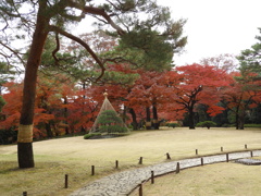 殿ヶ谷戸庭園14