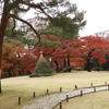 殿ヶ谷戸庭園14