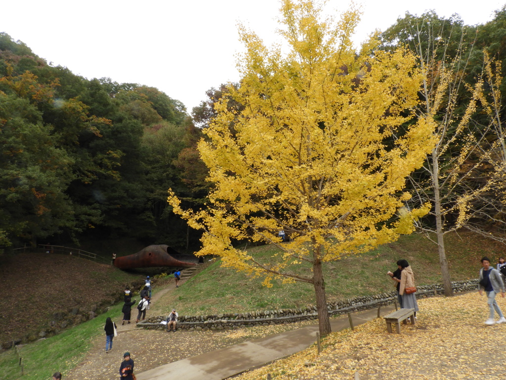 あけぼの子どもの森公園7