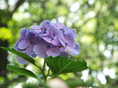 DSCF0327