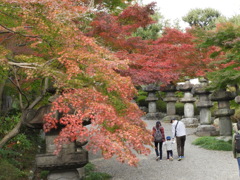 能仁寺の紅葉4