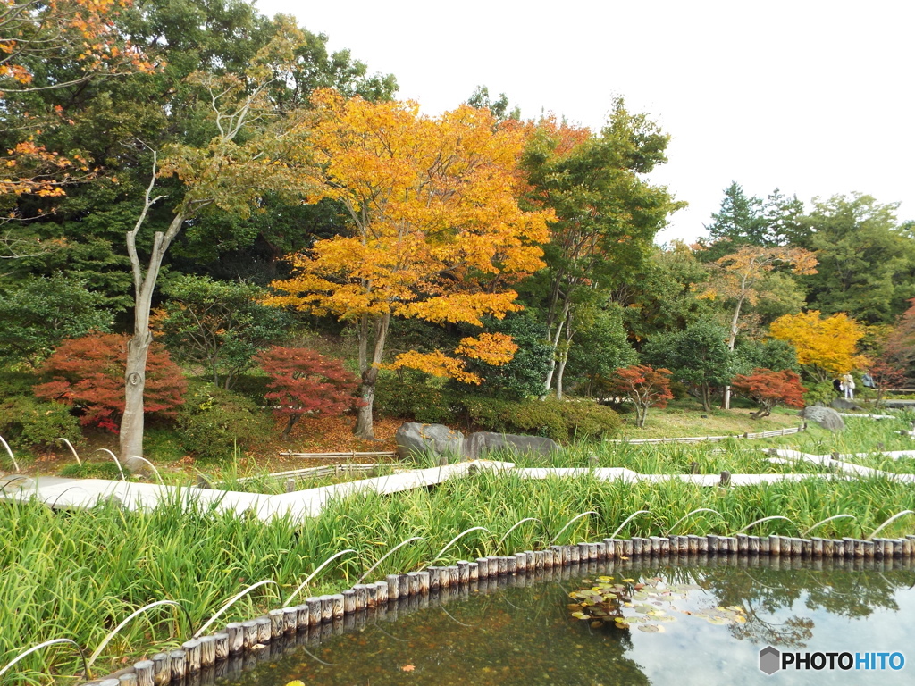 紅葉の日本庭園36
