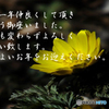 年末2