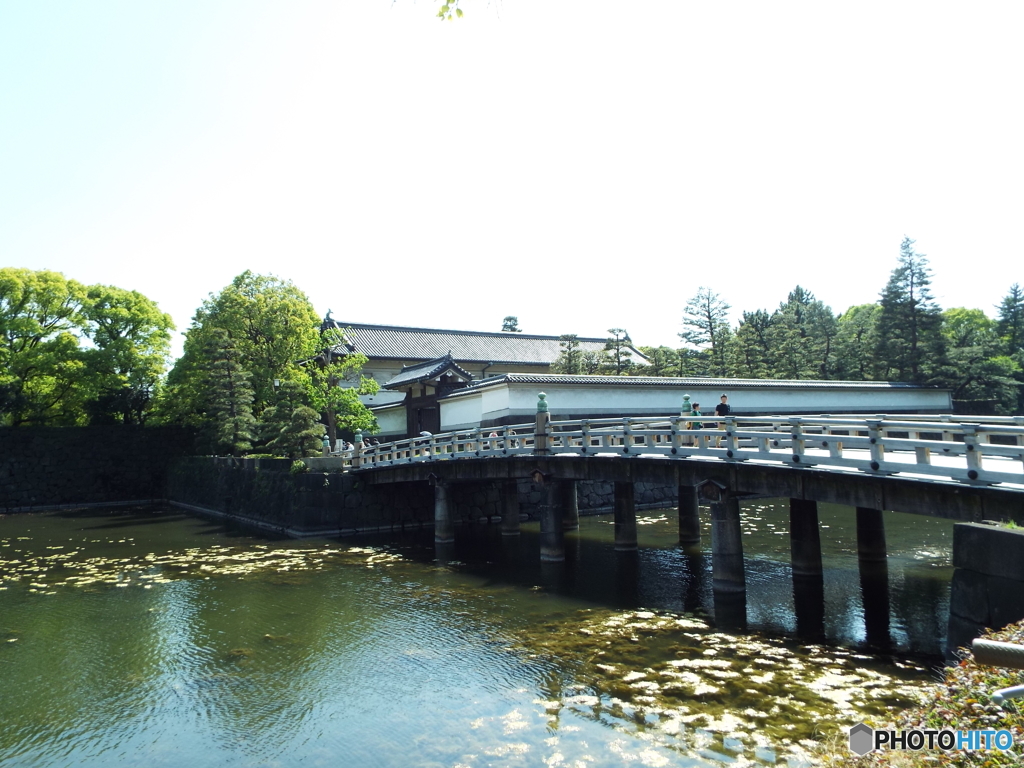 皇居東御苑11