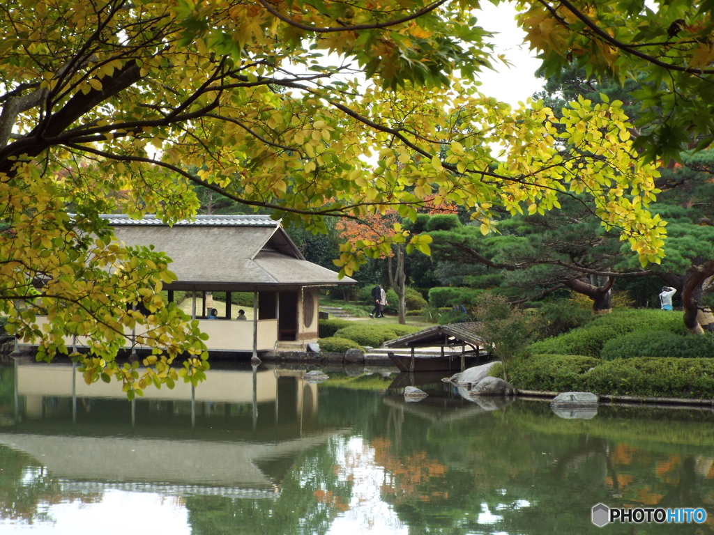 紅葉の日本庭園15