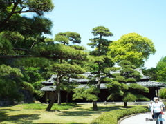 皇居東御苑6