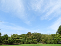 初秋の智光山公園散策14