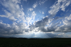 美瑛は 天気良かった～ 久しぶり！