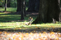 狙われてます！