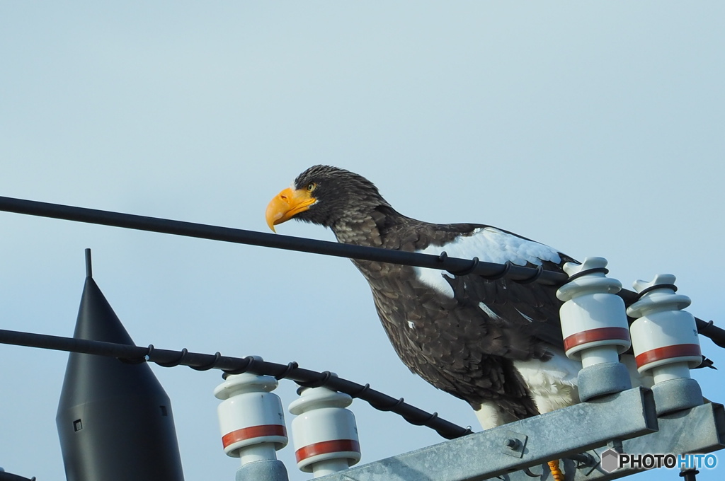 これからもっと数増えるそうです。